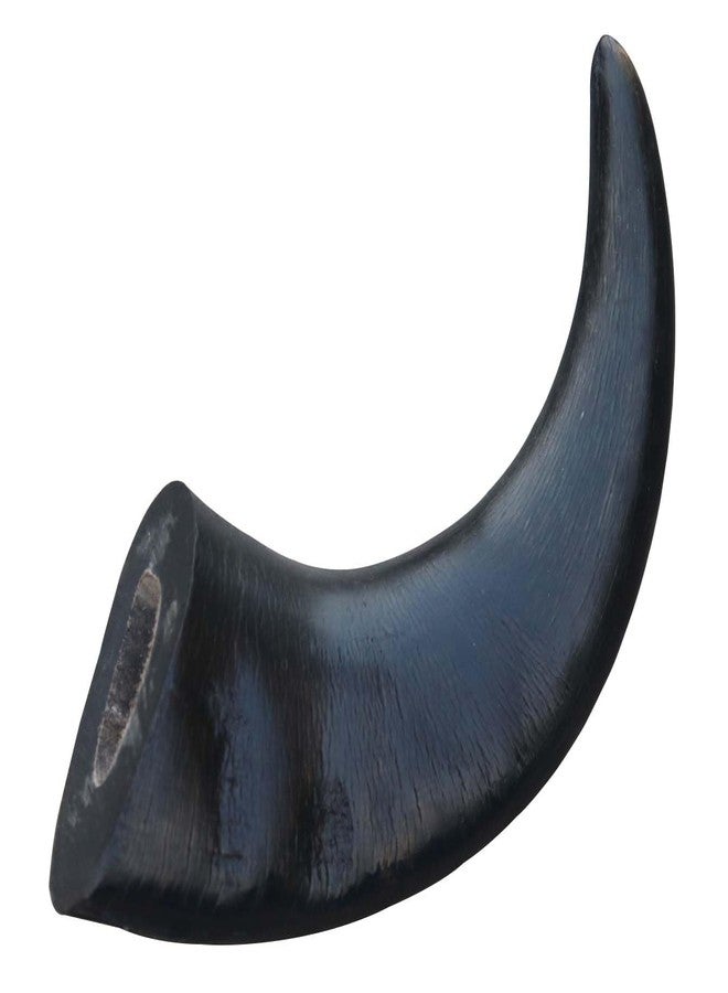 Homecute Water Buffalo Horn Treats for Dog Chew, A Chewy Delight for Your Pup, Chew Toys for Dogs, Dog Toys. - Image 2