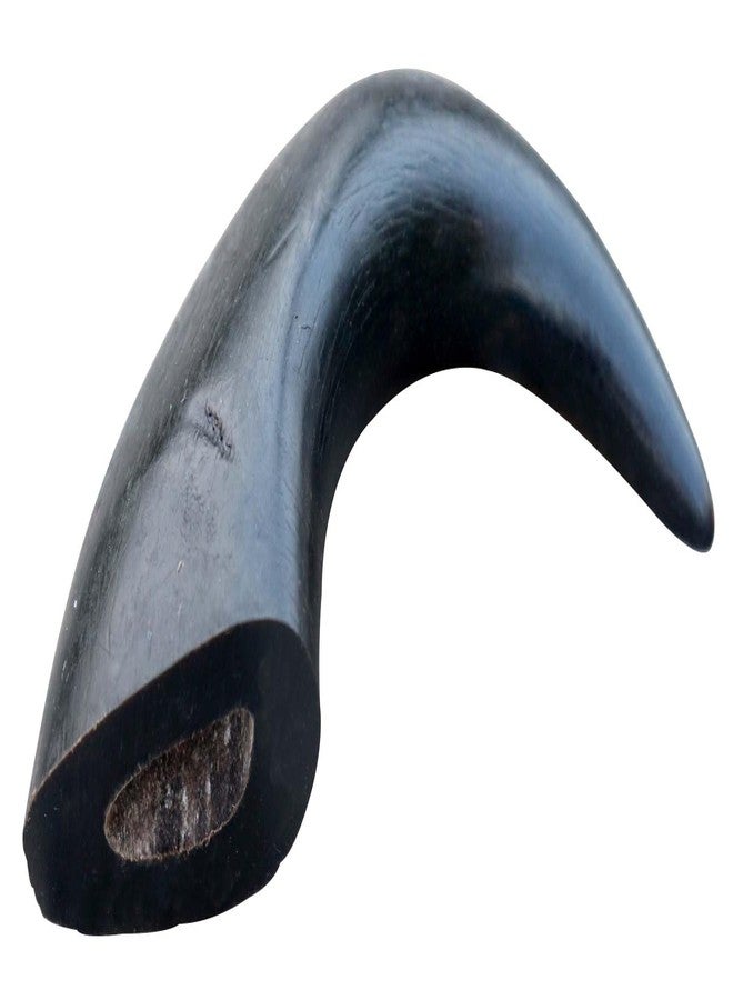Homecute Water Buffalo Horn Treats for Dog Chew, A Chewy Delight for Your Pup, Chew Toys for Dogs, Dog Toys. - Image 5