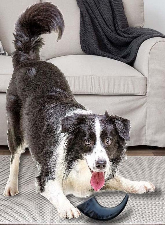Homecute Water Buffalo Horn Treats for Dog Chew, A Chewy Delight for Your Pup, Chew Toys for Dogs, Dog Toys. - Image 4