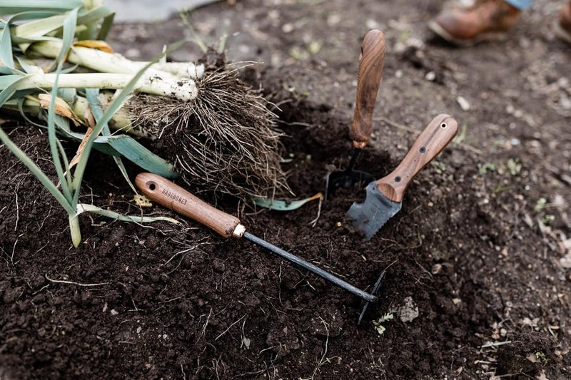 Barebones Square Hand Hoe - Garden Hoe for Weeding with a Long Handle - Japanese Gardening Tool, Sickle Garden Tool (Black/Walnut) - Image 4