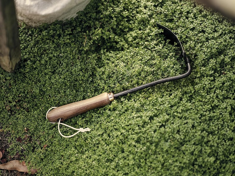 Barebones Square Hand Hoe - Garden Hoe for Weeding with a Long Handle - Japanese Gardening Tool, Sickle Garden Tool (Black/Walnut) - Image 3