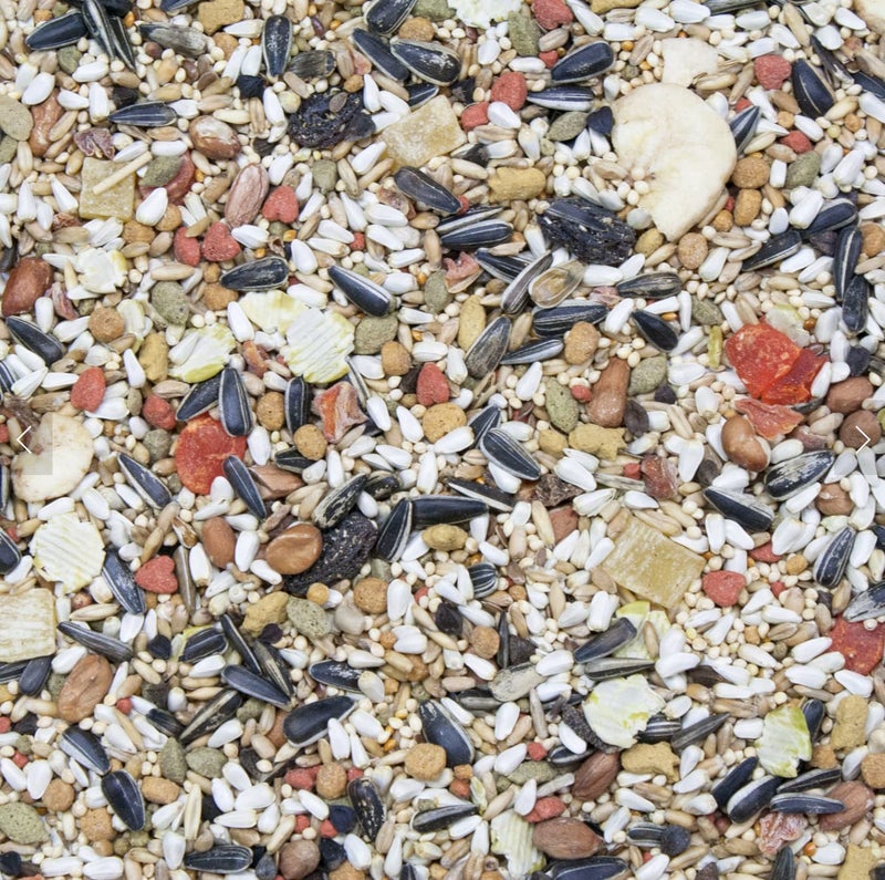 Higgins 2 Pack of Vita Seed Natural Blend Conure and Lovebird Food, 5 Pounds Each - Image 3