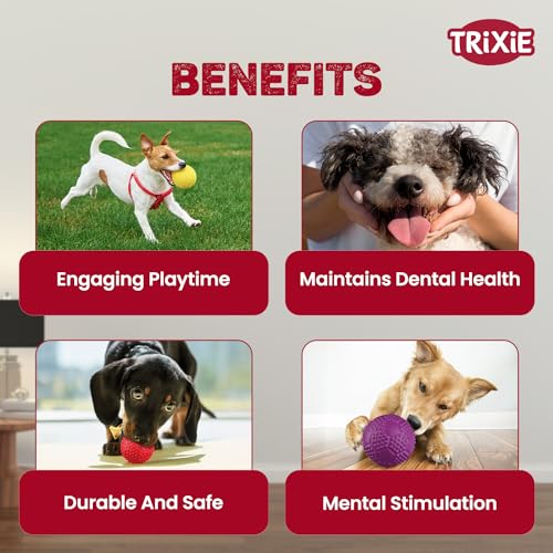 Trixie | Sports Ball Toy for Dogs and Cats | Natural Rubber Sport Ball with Attractive Bouncing Quality to Attract Your Pet's Attention- 7 cm with 2in1 Food/Water Feeder(1L) - Image 5