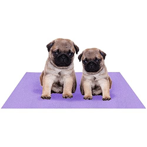 AMORITE Pet Mat ( Small )| Waterproof Reusable Washable Pee Pads| for All Pet | Size - 70 x 50 cm ( Violet) - Image 1
