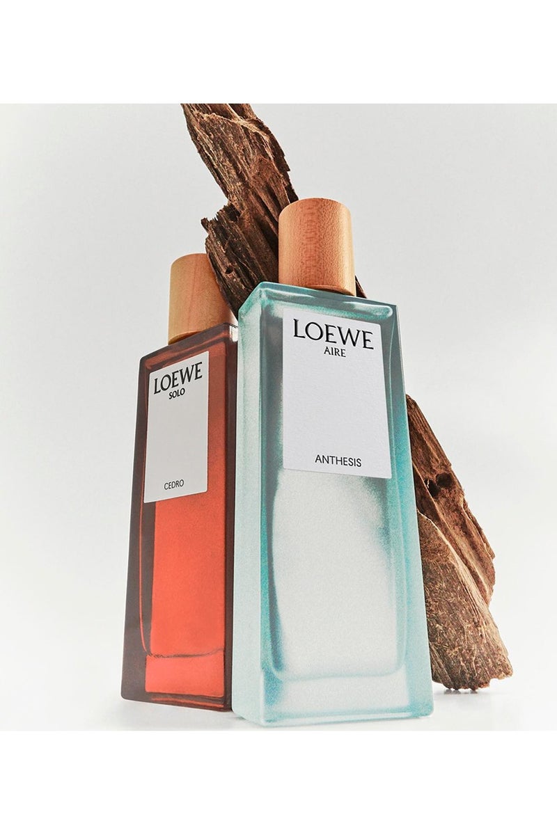Loewe Solo Cedro Eau de Toilette for Men 50ml - Image 3