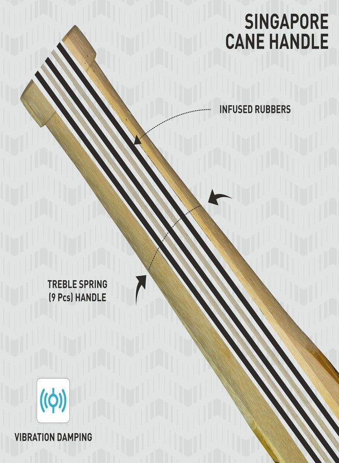 جنرال موتورز مضرب كريكيت GM Icon Maxi بمقبض قصير من خشب الصفصاف الإنجليزي، مقاس رجالي، خشبي - Image 5