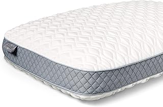 Sealy Molded Memory Foam Pillow, Standard, White - Image 1