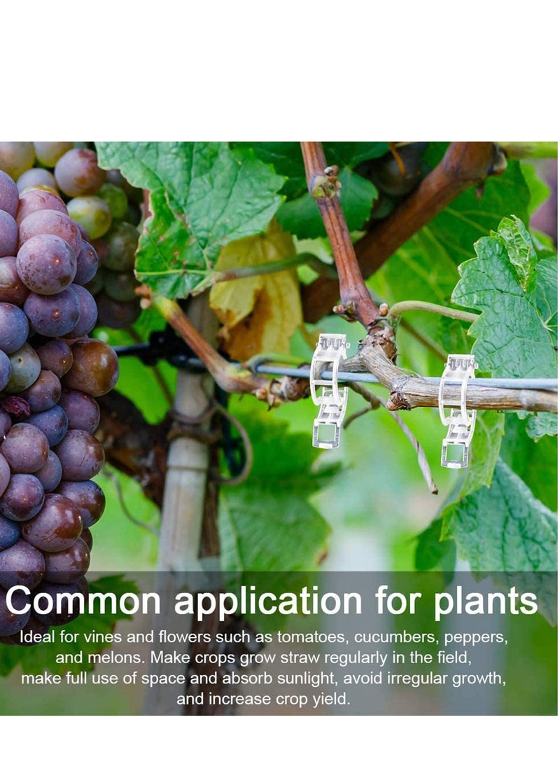 SOLARAE 200 Pcs Plant Support Garden Clips, Vegetable Tomato Supports Trellis Clip Tape for Climbing Crop Vine Twine String Cage Ties Stakes, Grow Strawberry Rose Grape Cucumber Orchid Pea Tree - Image 5