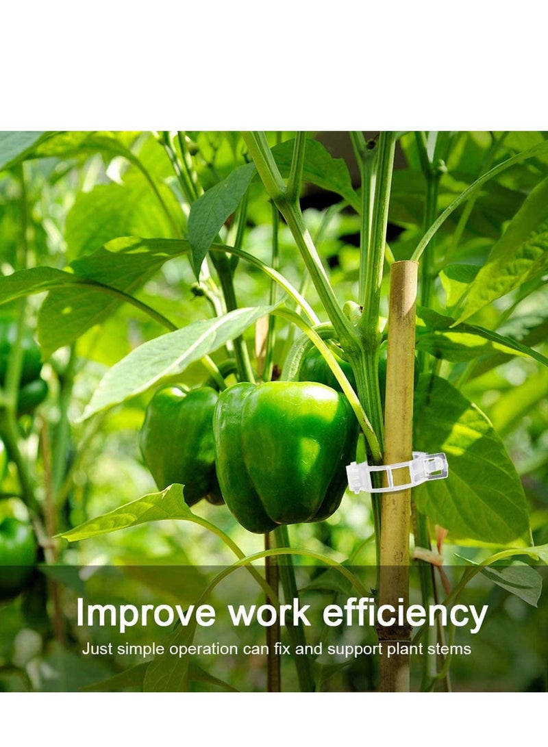 SOLARAE 200 Pcs Plant Support Garden Clips, Vegetable Tomato Supports Trellis Clip Tape for Climbing Crop Vine Twine String Cage Ties Stakes, Grow Strawberry Rose Grape Cucumber Orchid Pea Tree - Image 4