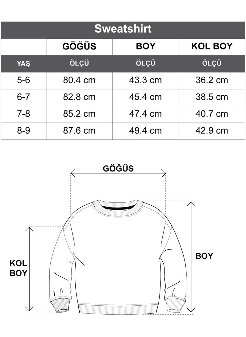 Zepkids Crew Neck Long Sleeve Weekend Feel Printed Khaki Color Boy's Sweatshirt