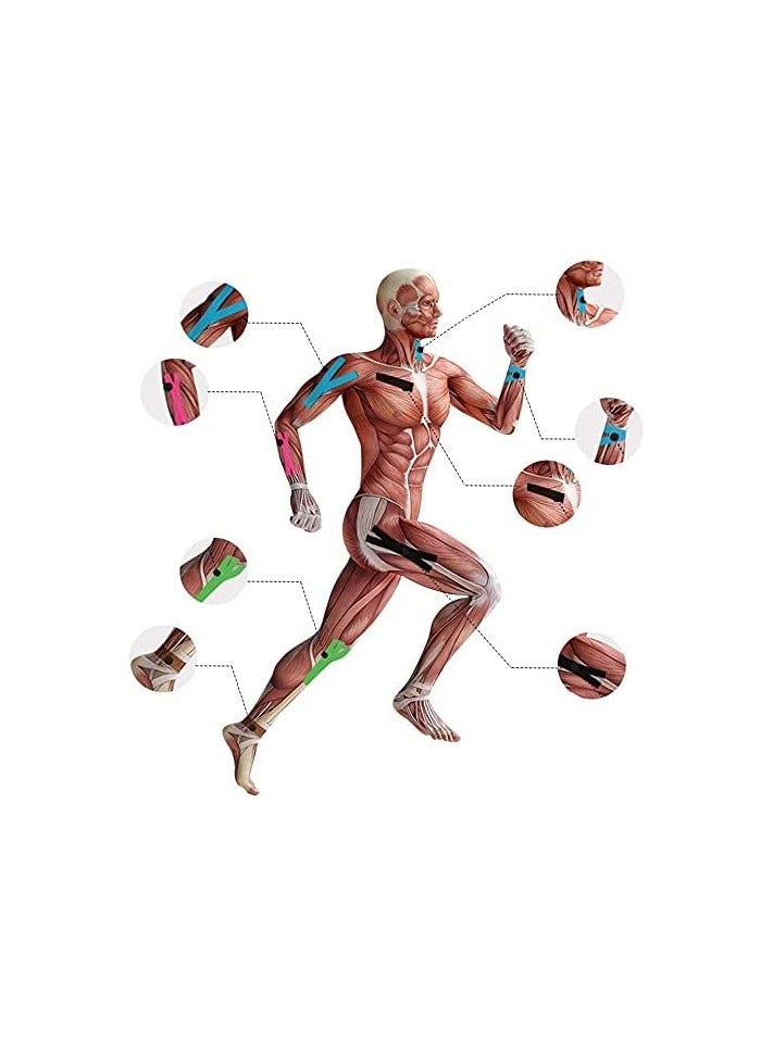 تيب 2 رول لاصق رياضي لحماية العضلات من الإجهاد الزائد، شريط لتخفيف الألم أثناء الحركة وتحفيز العضلات، نسيج لاصق قابل للتمدد وقابل للتنفس، خالي من اللاتكس، مضاد للحساسية ومقاوم للرطوبة، 5 سم * 5 متر متعدد الالوان - Image 4