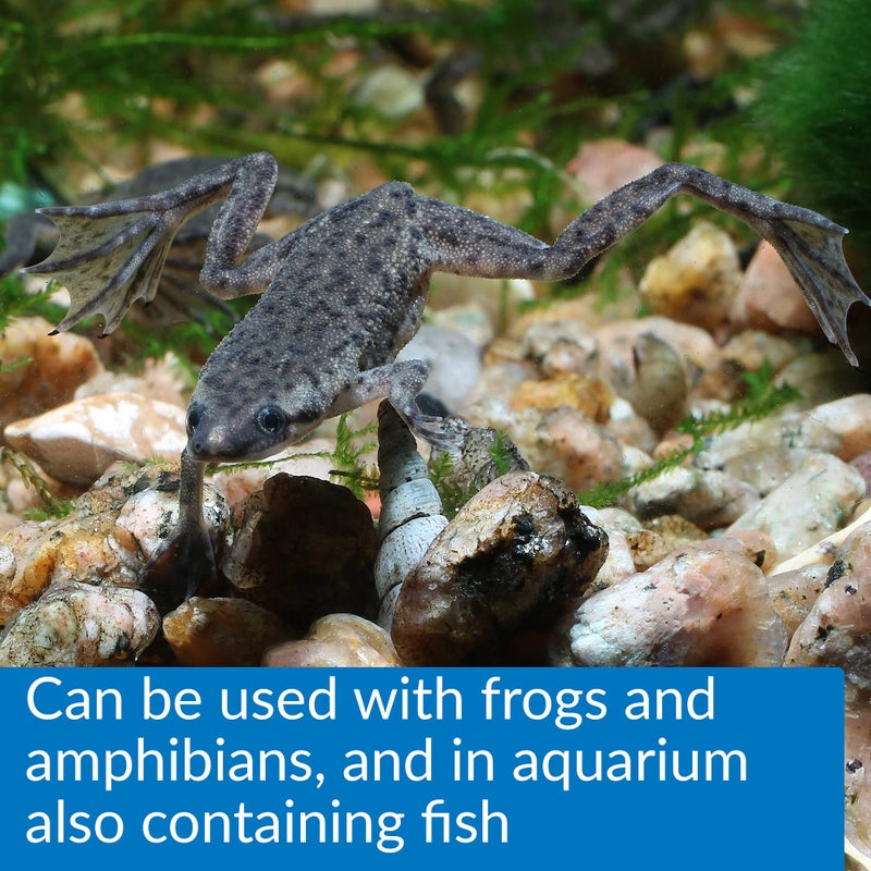 API TURTLE WATER CONDITIONER Water Conditioner 8-Ounce Bottle - Image 5