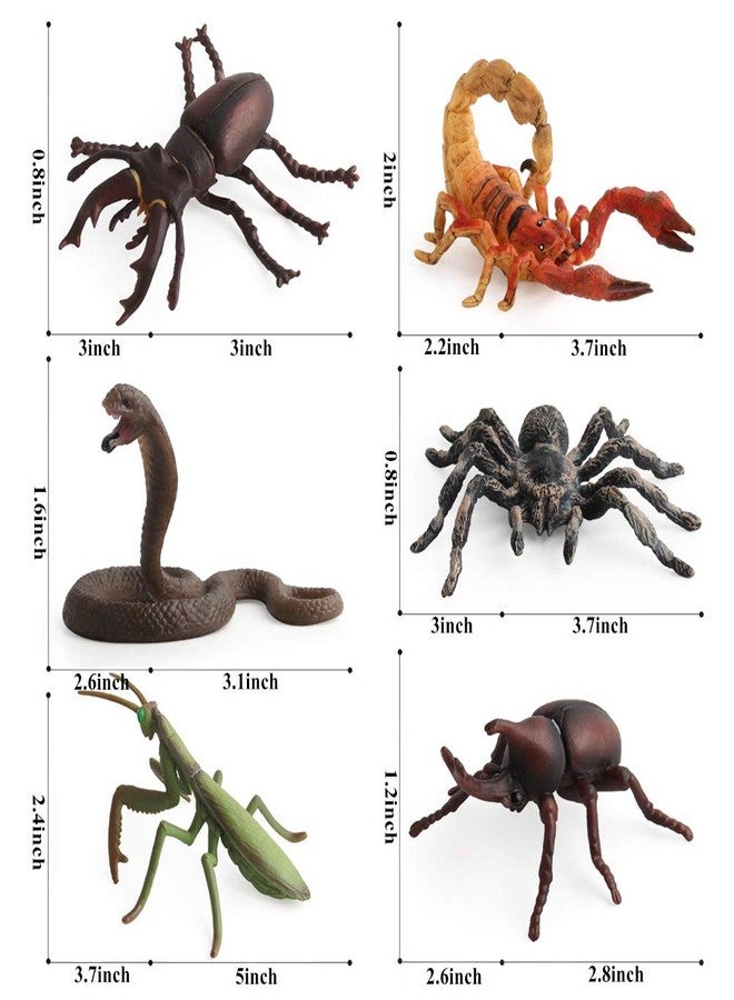 Odowalker 6 Pcs Lifelike Assorted Insects Realistic Insects Figures, Model Bug Figures Halloween Insect Theme Gift Plastic Bugs Figurines Set for Insect Themed Party - Image 2