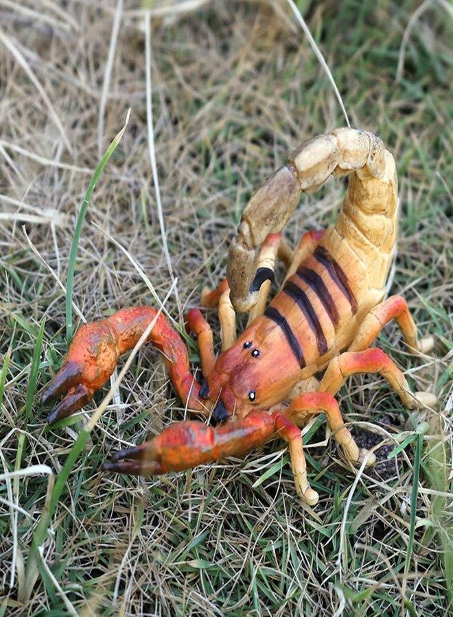 Odowalker 6 Pcs Lifelike Assorted Insects Realistic Insects Figures, Model Bug Figures Halloween Insect Theme Gift Plastic Bugs Figurines Set for Insect Themed Party - Image 4