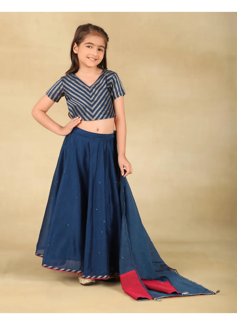 Fabindia Navy Cotton Silk Blend Woven 3Pc Lehenga Set