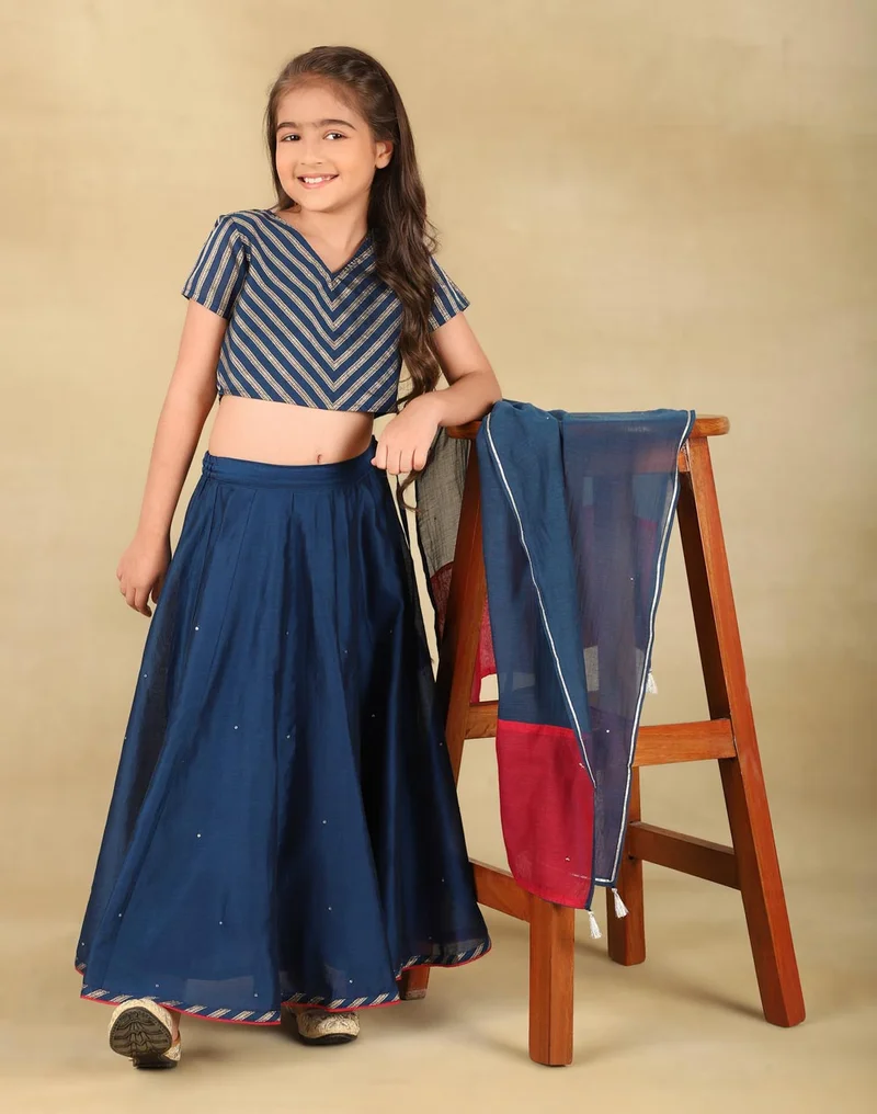 Fabindia Navy Cotton Silk Blend Woven 3Pc Lehenga Set