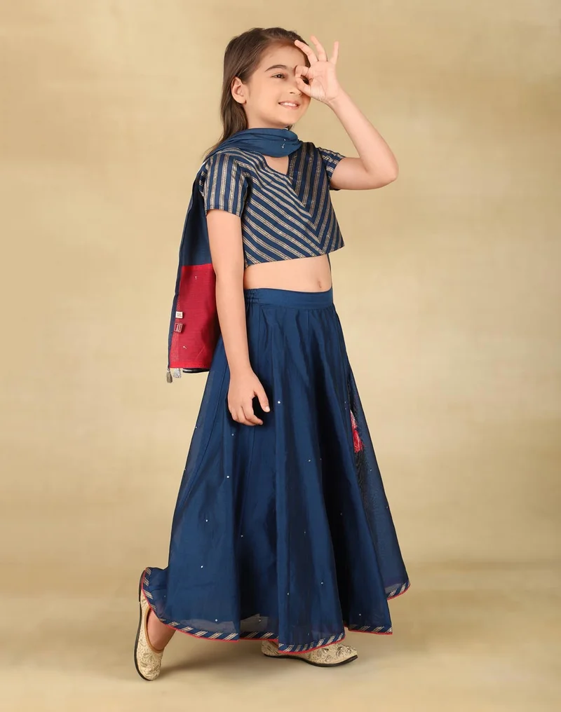 Fabindia Navy Cotton Silk Blend Woven 3Pc Lehenga Set