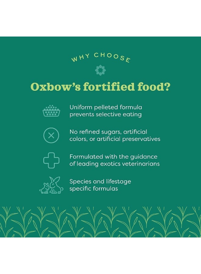Oxbow طعام الأرانب الصغيرة من أوكسبو إيسينشالز، 5 رطل، متعدد الألوان، 744845402451، طعام حيوانات - Image 3