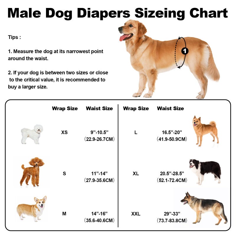 VUNCESSIN Washable Dog Diapers Male Reusable, Premium Belly Bands for Male Dogs Small, Pack of 3, High Absorbing Small Male Dog Pee Wraps for Doggie in Incontinence or Excitable Urination and Training(S) - Image 3