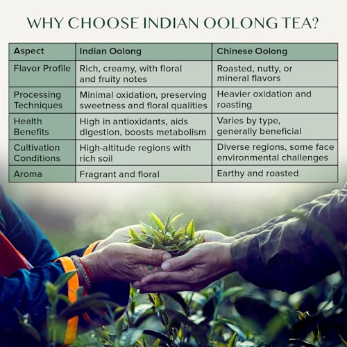 VAHDAM High Mountain Oolong Tea Leaves From Himalayas 50 Cups 353oz Strong  Robust Oolong Tea  High Elevation Grown  Vacuum Sealed  Brew Hot Iced Kombucha Tea  Loose Leaf Tea - Image 5