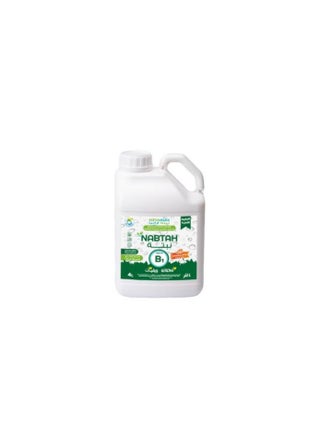 نبتة بي ون 4 لتر - pzsku/ZEBED17C7FD61A472546BZ/45/_/1705914976/9b34c237-5a3d-49d3-8f12-29efa371df02