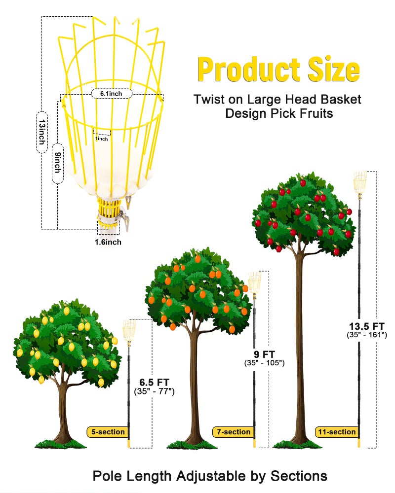 BlumeTrec 6.5FT Fruit Picker with Basket, Apple Picking Tool 35â€“77 Inch Adjustable Pole, Long-Handle Mango Grabber, Tree Fruit Catcher for Harvesting Lemon Pear Orange Avocado Peach Citrus Grapefruit - Image 2