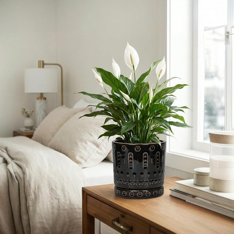 Eightpot 8 Inch Ceramic Planter Pot Plant Pot with Drainage Hole and Saucer, Round Large Flower Pot for Indoor Plants Outdoor Garden Planter Pot, Glossy Black - Image 5