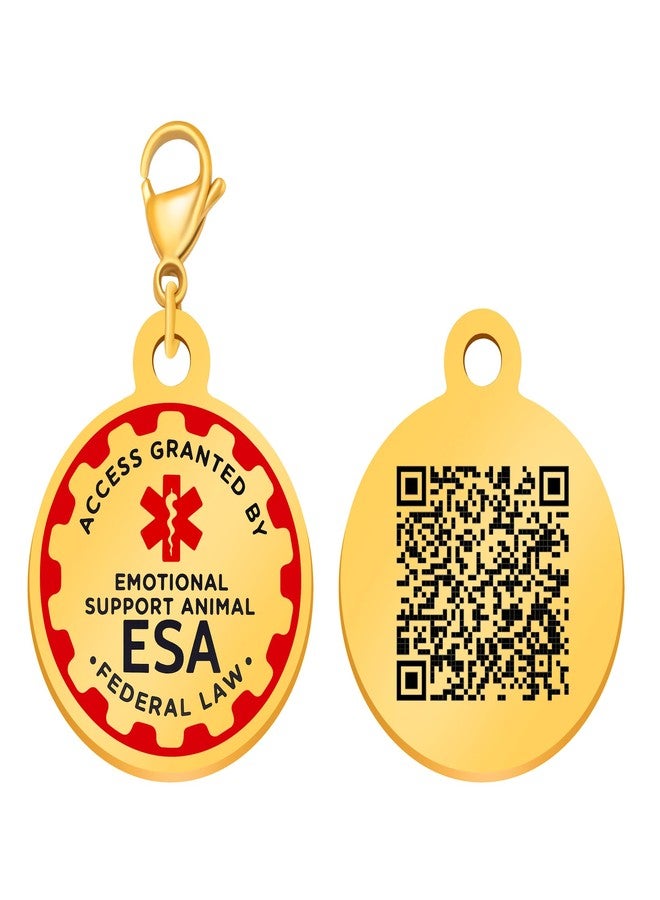 يولوفيدو بطاقة تعريف ديناميكية للكلاب الداعمة عاطفياً (ESA) مزودة برمز الاستجابة السريعة (QR)، قابلة للتعديل، تتضمن معلومات الاتصال بالحيوان الأليف، لا حاجة لأي معلومات عند الدفع، لون ذهبي وأبيض، YA6312 (YA6312-Golden-QR Code) - Image 1