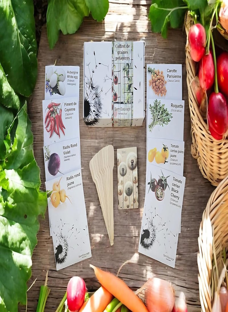 GGOOT Seed Box - Special Balcony & Terrace -  Permaculture - Image 1