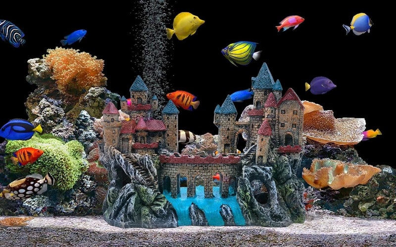 M2cbridge Antique Roman Column Ruins European Castle Aquarium Decorations Fish Tank Hideout Rocks (Large Castle) - Image 5