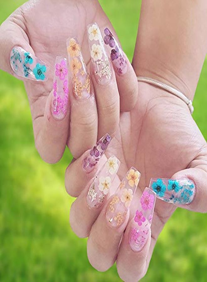 Kissbuty 1 Box Dried Flowers For Nail Art, 12 Colors Dry Flowers Mini Real Natural Flowers Nail Art Supplies 3D Applique Nail Decoration Sticker For Tips Manicure Decor (Daffodils Flowers)  - Image 4
