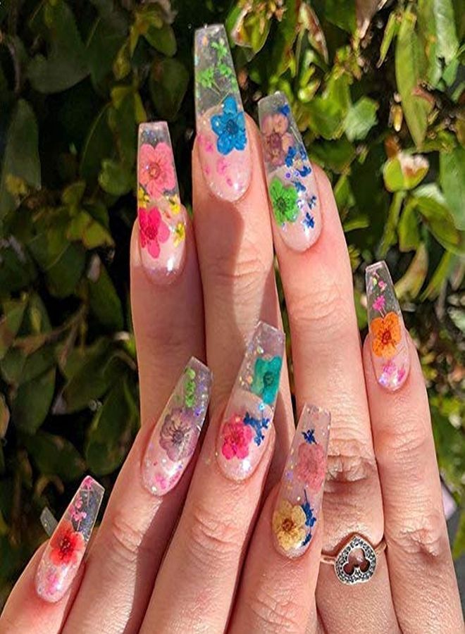 Kissbuty 1 Box Dried Flowers For Nail Art, 12 Colors Dry Flowers Mini Real Natural Flowers Nail Art Supplies 3D Applique Nail Decoration Sticker For Tips Manicure Decor (Daffodils Flowers)  - Image 3