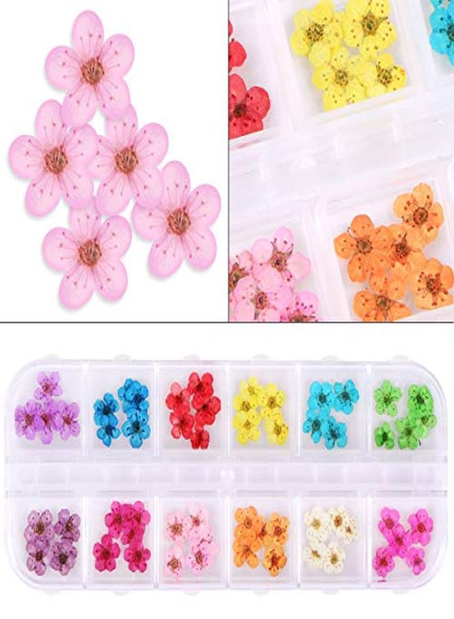 Kissbuty 1 Box Dried Flowers For Nail Art, 12 Colors Dry Flowers Mini Real Natural Flowers Nail Art Supplies 3D Applique Nail Decoration Sticker For Tips Manicure Decor (Daffodils Flowers)  - Image 2