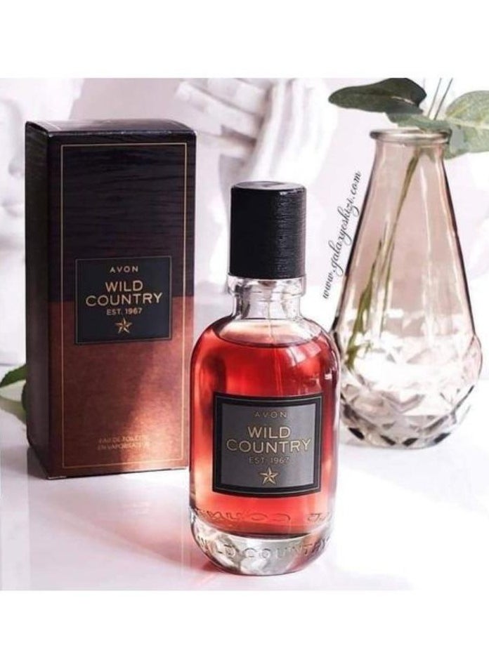 آفون - عطر وايلد كانتري للرجال 75 مل - Image 1