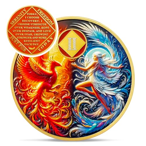 IELCJJ Phoenix Fairy 2 Year Na Medallions - Sun and Moon Sobriety Coin - One Year Recovery Addiction Token - Celebrate Clean and Sober Chip - 0-10 Prime Narcotics Anonymous Gifts for Men Women - Image 1