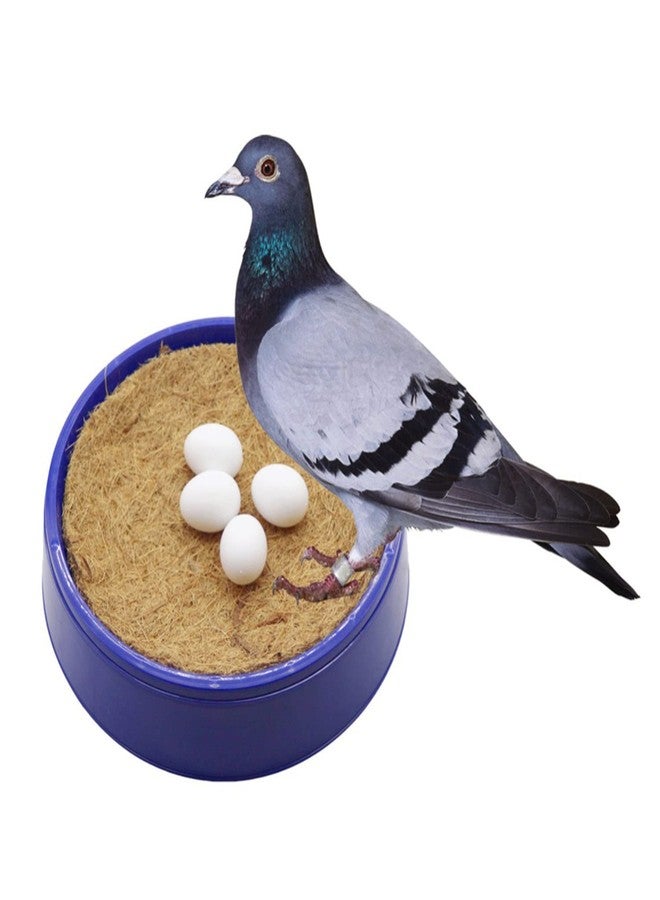 Maxmoral 12pcs Fake Eggs Plastic False Pigeon Eggs for Hatch Breeding Supplies Solid Pigeon Fake Egg Pigeon Hatching Supplies - Image 4