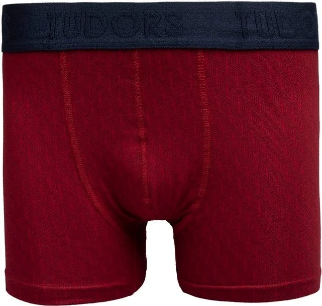 تودورس Men's 2-Piece Cotton Lycra Flexible Fabric Boxer