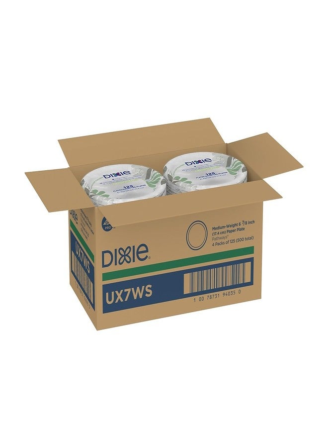 Dixie Pathways Soak-Proof Shield Mediumweight Paper Plates, WiseSize, 6.88" dia, Green/Burgundy, 500/Carton - Image 5