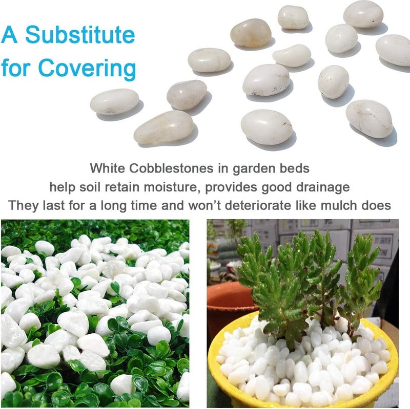 M-jump 2 Pounds 1" - 2" Gravel Size Natural Decorative Stones Polished White Pebbles Use in Glassware, Like Vases, Aquariums and Terrariums to Enhance The Appearance - Image 3