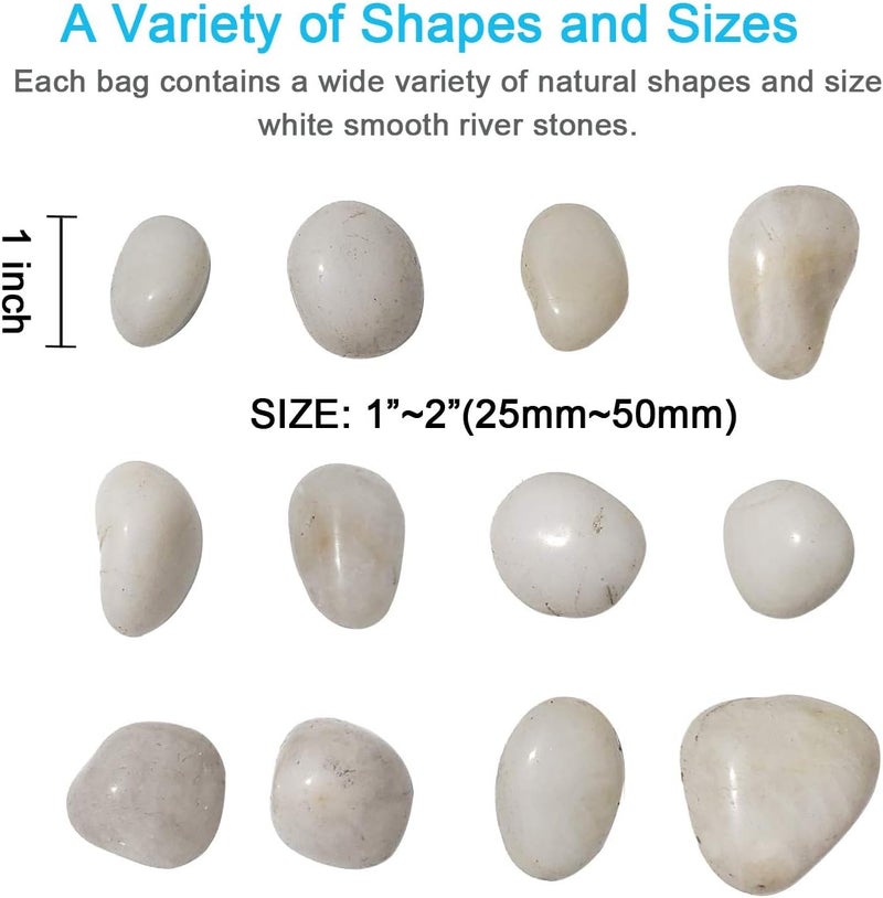 M-jump 2 Pounds 1" - 2" Gravel Size Natural Decorative Stones Polished White Pebbles Use in Glassware, Like Vases, Aquariums and Terrariums to Enhance The Appearance - Image 2
