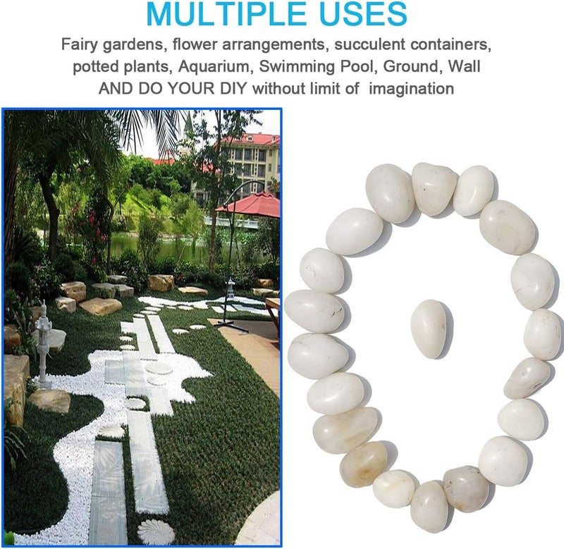 M-jump 2 Pounds 1" - 2" Gravel Size Natural Decorative Stones Polished White Pebbles Use in Glassware, Like Vases, Aquariums and Terrariums to Enhance The Appearance - Image 4