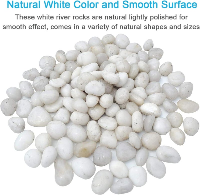 M-jump 2 Pounds 1" - 2" Gravel Size Natural Decorative Stones Polished White Pebbles Use in Glassware, Like Vases, Aquariums and Terrariums to Enhance The Appearance - Image 5