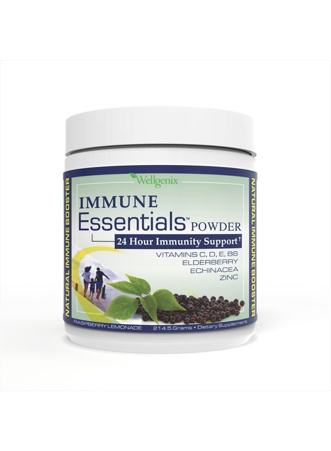 wellgenix Natural Immune System Powder - Immune Booster for Kids & Adults - Elderberry, Echinacea, Vitamin B6, C, D, E, & Zinc - Raspberry Lemonade 7.57 Grams - Image 1