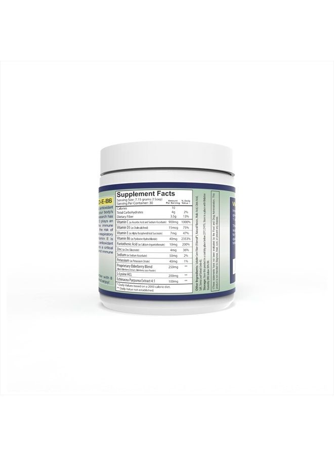 wellgenix Natural Immune System Powder - Immune Booster for Kids & Adults - Elderberry, Echinacea, Vitamin B6, C, D, E, & Zinc - Raspberry Lemonade 7.57 Grams - Image 3