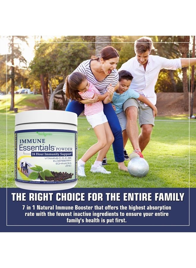 wellgenix Natural Immune System Powder - Immune Booster for Kids & Adults - Elderberry, Echinacea, Vitamin B6, C, D, E, & Zinc - Raspberry Lemonade 7.57 Grams - Image 4