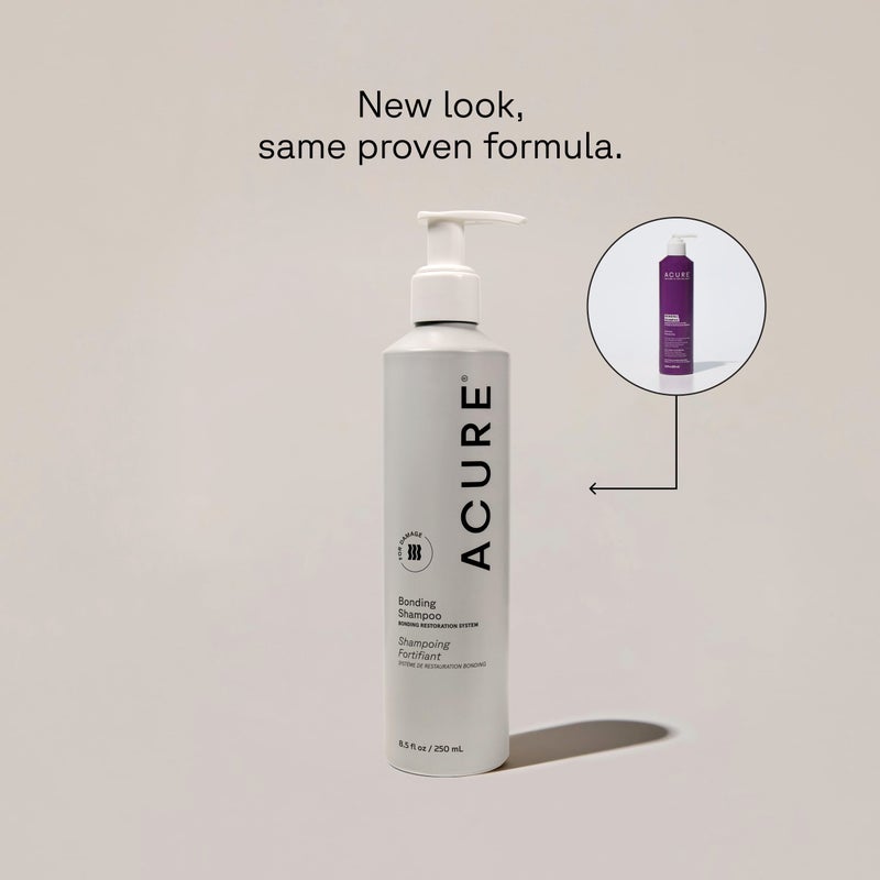 Acure Bonding Shampoo - Strengthening Shampoo for Women & Men, Moisturize & Soften Fine, Dry, Damaged, Color Treated Hair & Scalp w/ Chia Seed & Avocado Oil, Vegan, Paraben & Sulfate Free - 8 fl oz - Image 2