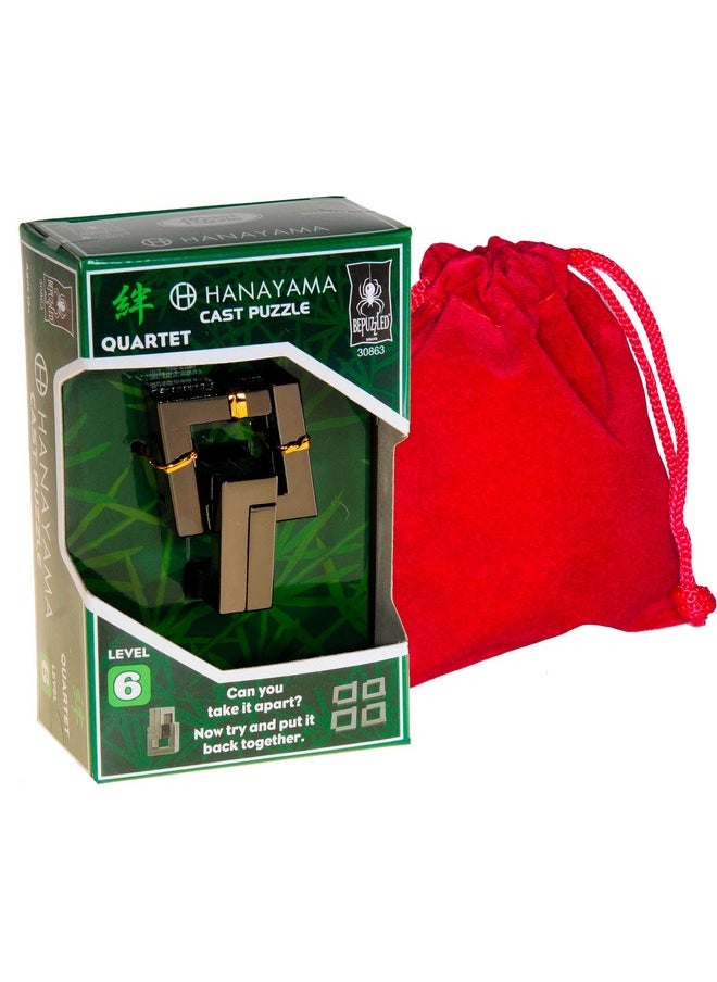 Deluxe Games and Puzzles VERSAINSECT a Cast Metal Brain Teaser Puzzle Level 6 Difficulty Rating Bonus Red Velveteen Drawstring Pouch Bundled Items  - Image 1