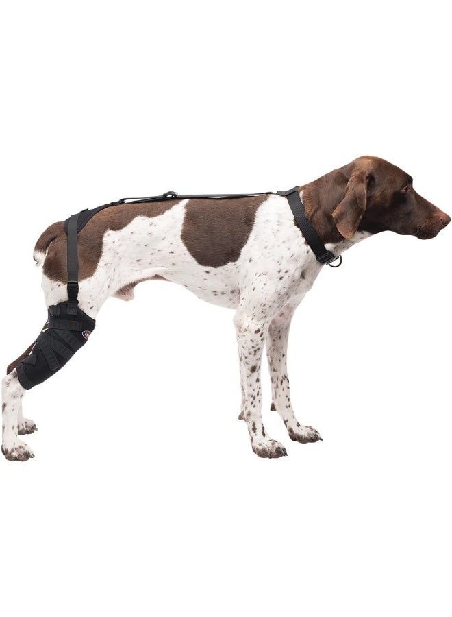 Caldera Pet Therapy Tall Stifle Wrap with Gel, Medium/Tall, Black - Image 2