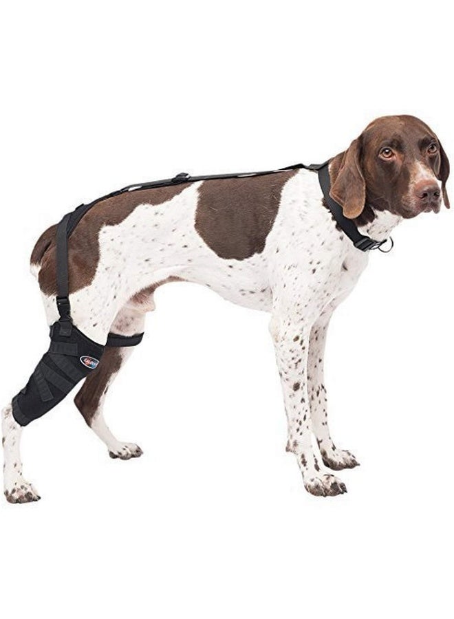 Caldera Pet Therapy Tall Stifle Wrap with Gel, Medium/Tall, Black - Image 1