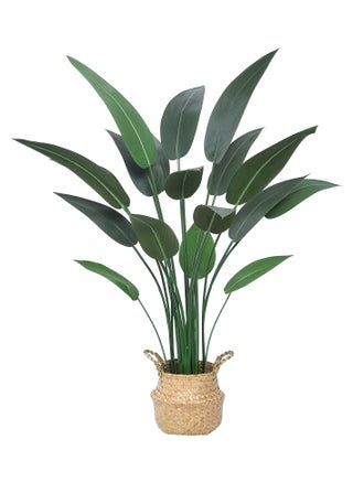 Bird of Paradise Tree 110cm